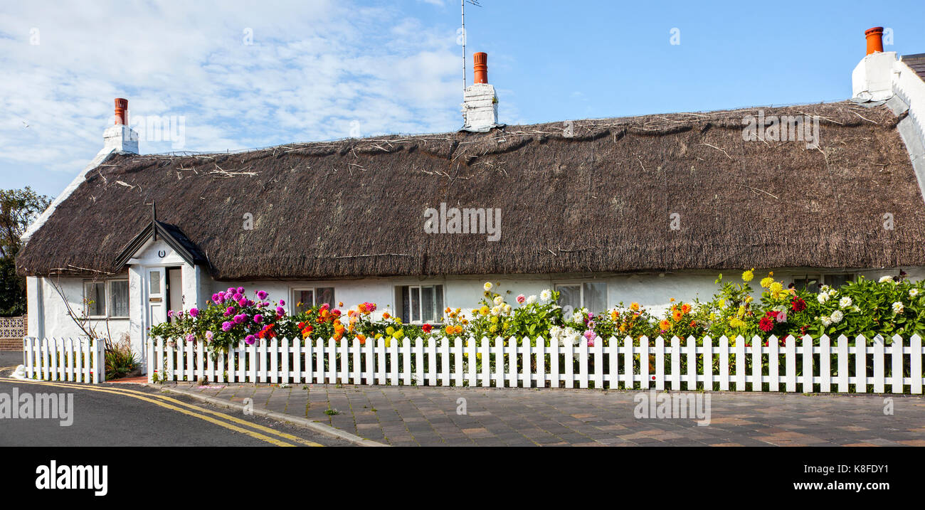 Thatched cottage with white picket fence & autumn flowers in Churchtown ...