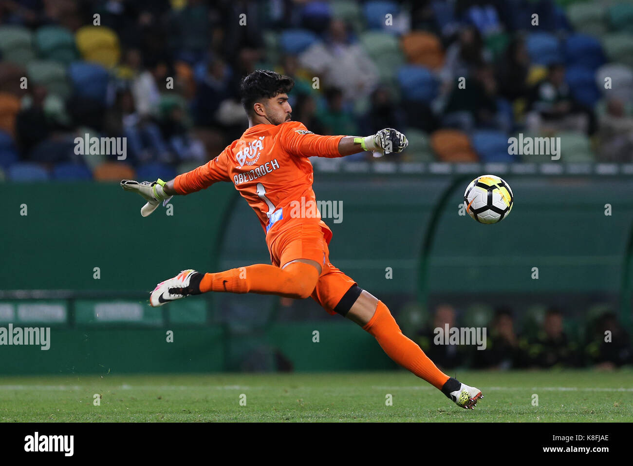 Lisbon, Portugal. 19th Sep, 2017. Maritimo's goalkeeper Amir Abedzadeh from Iran during the Portuguese Cup 2017/18 match between Sporting CP v CS Maritimo, at Alvalade Stadium in Lisbon on September 19, 2017. Credit: Bruno Barros/Alamy Live News Stock Photo