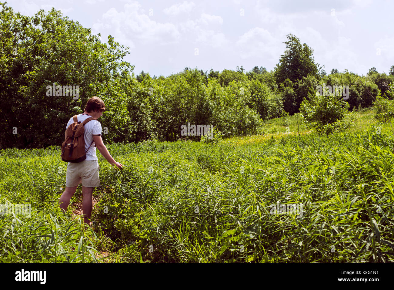 Young male hiker looking at green plants in landscape Stock Photo