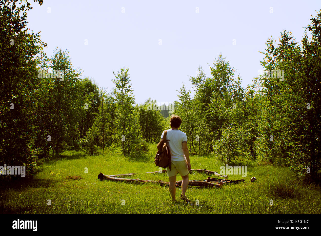 Rear view of young male hiker hiking through woodland Stock Photo