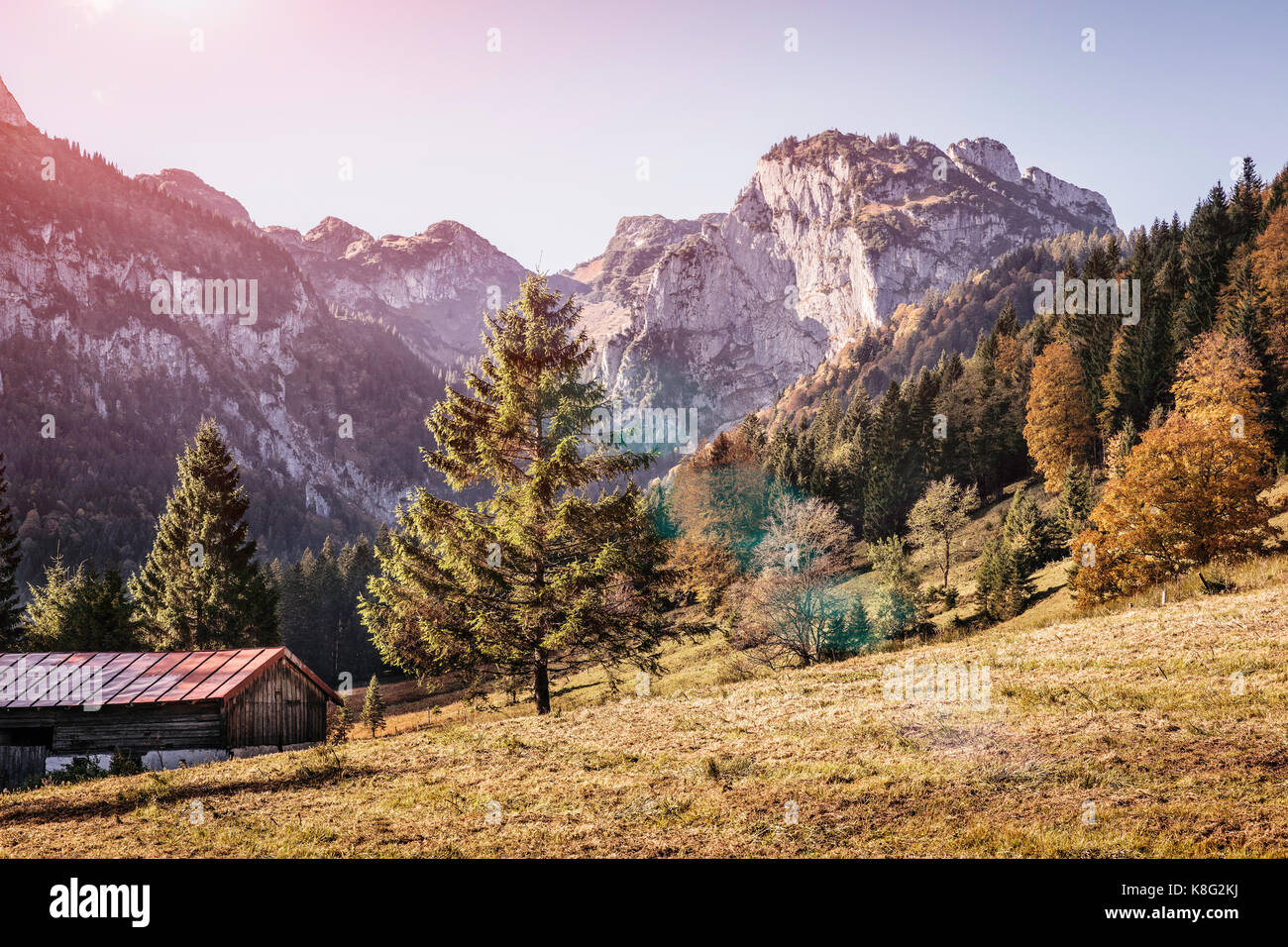 Sunlit field and mountain landscape, Bavaria, Germany Stock Photo