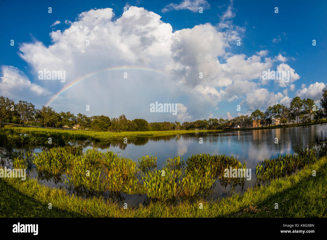 Rainbow in blue sky with white clouds hi-res stock photography and ...
