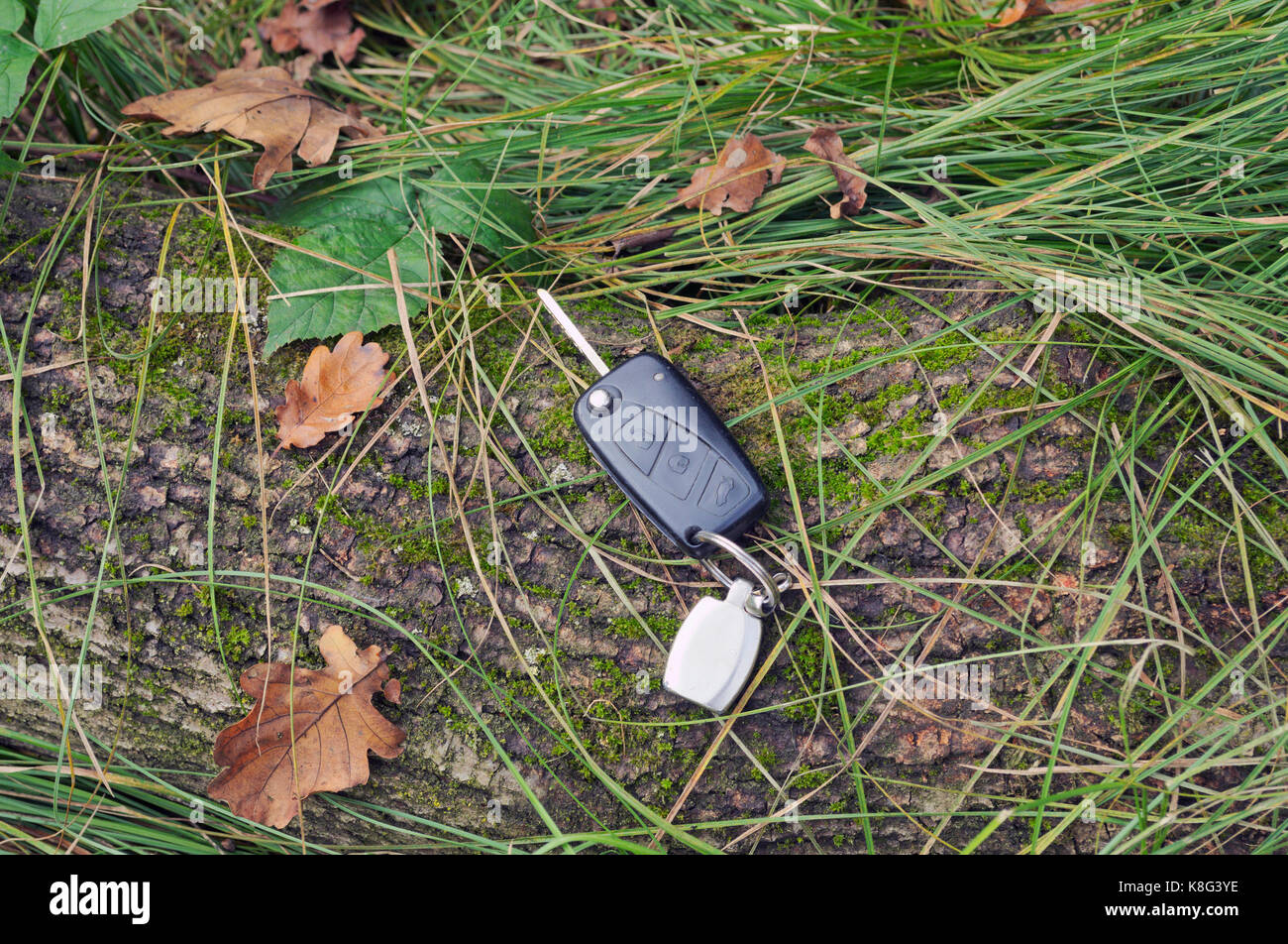 car keys dropped in grass Stock Photo Alamy