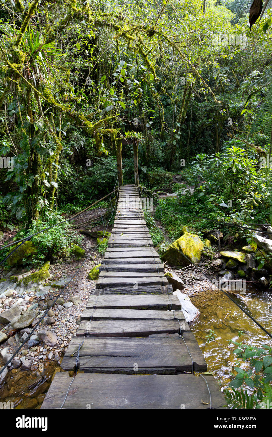 Swing Bridge In The Rain Forest Stock Photo 160168705 Alamy