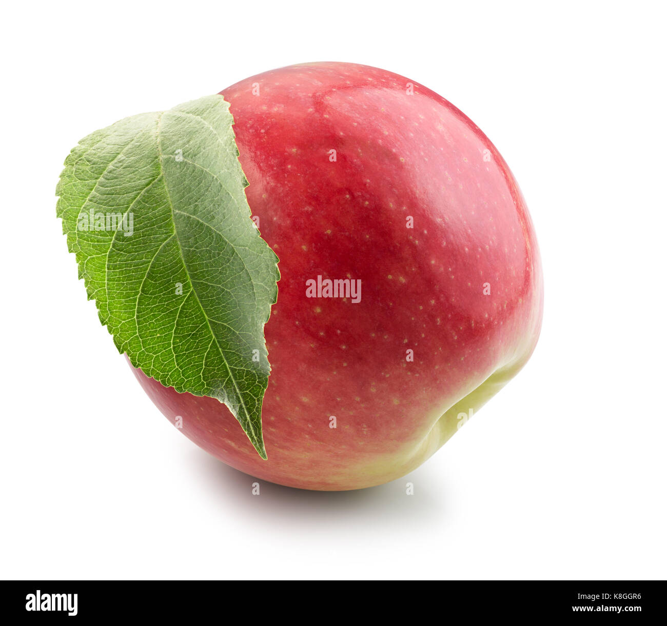 red apple isolated on a white background Stock Photo - Alamy