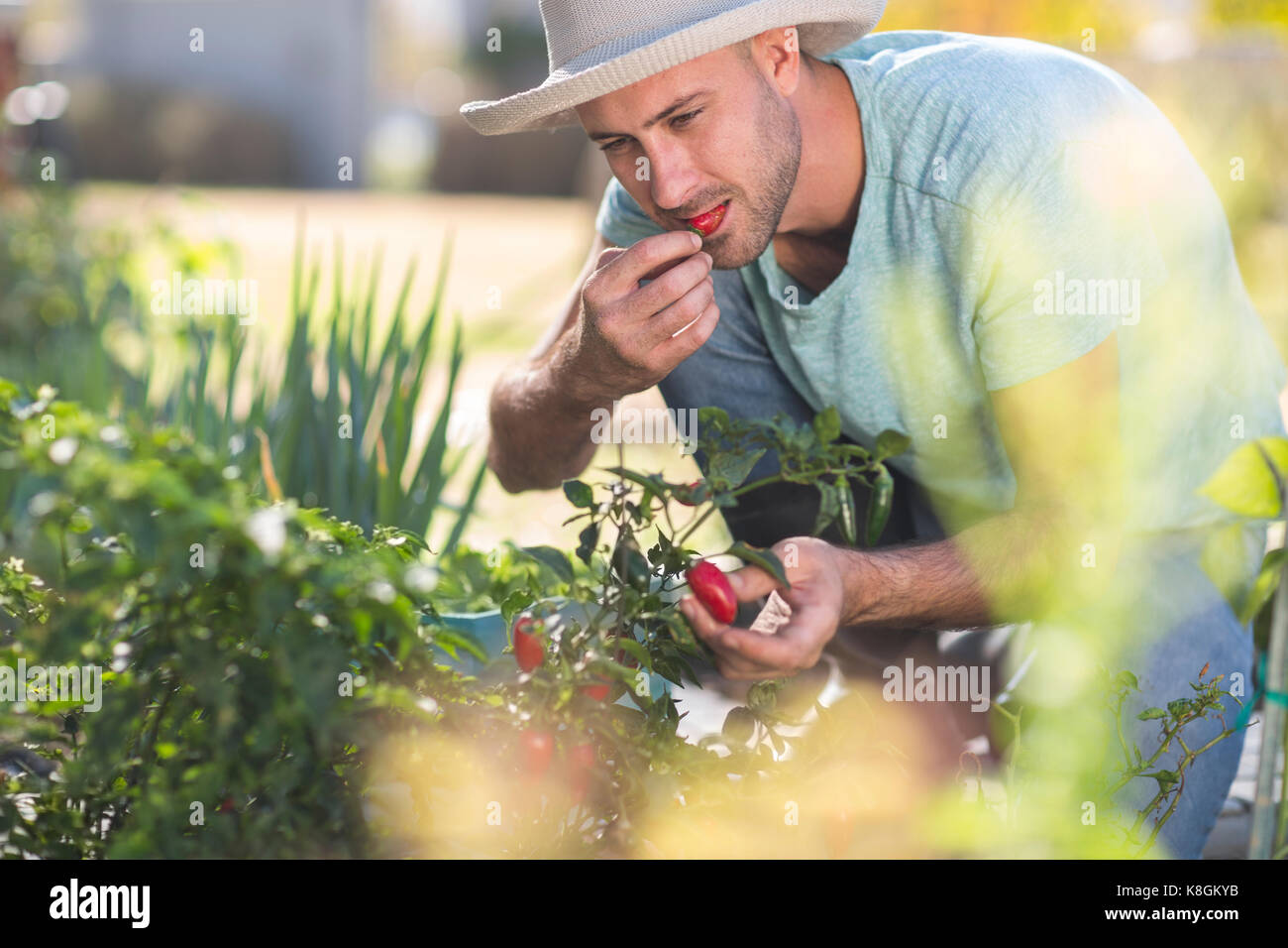 Chilli man hi-res stock photography and images - Alamy