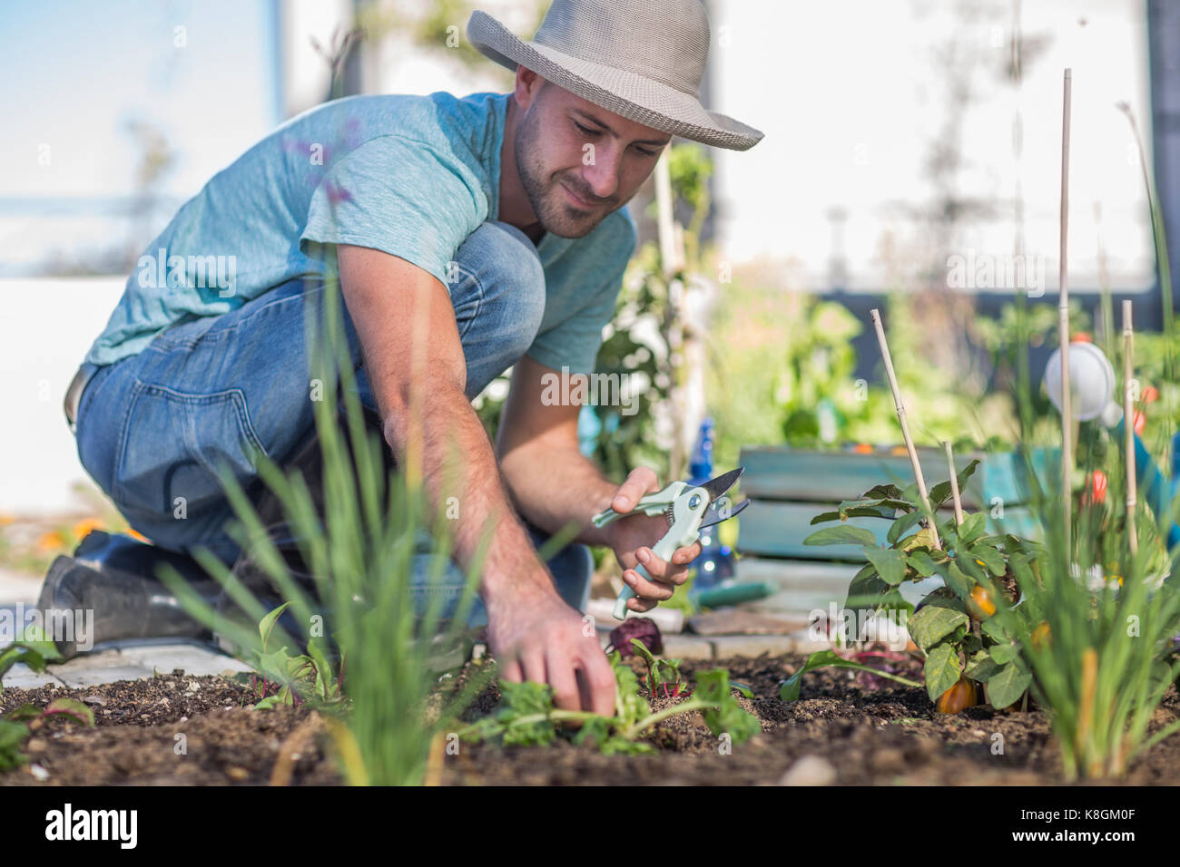 Young Man Tending To Plants In Garden Stock Photo 160177487 Alamy