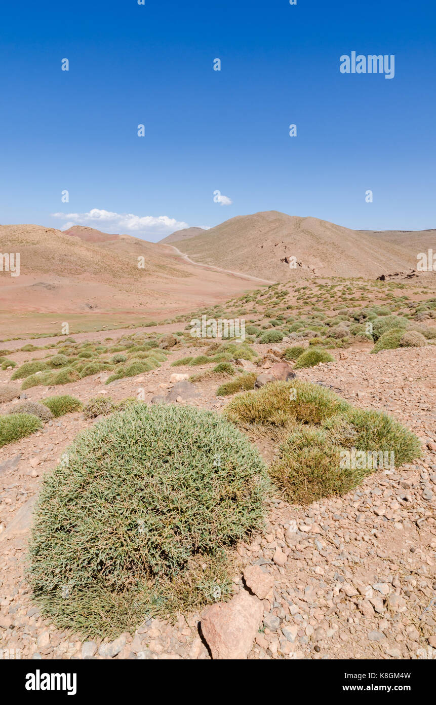 Beautiful remote landscape in Middle Atlas mountain region or Morocco, North Africa. Stock Photo