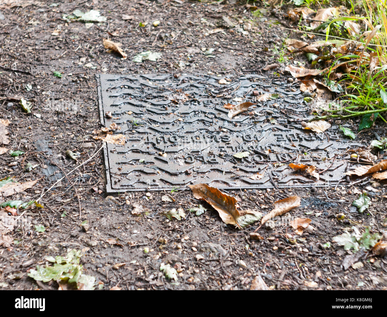 close up of metal water sewer grate on the floor in forest Stock Photo