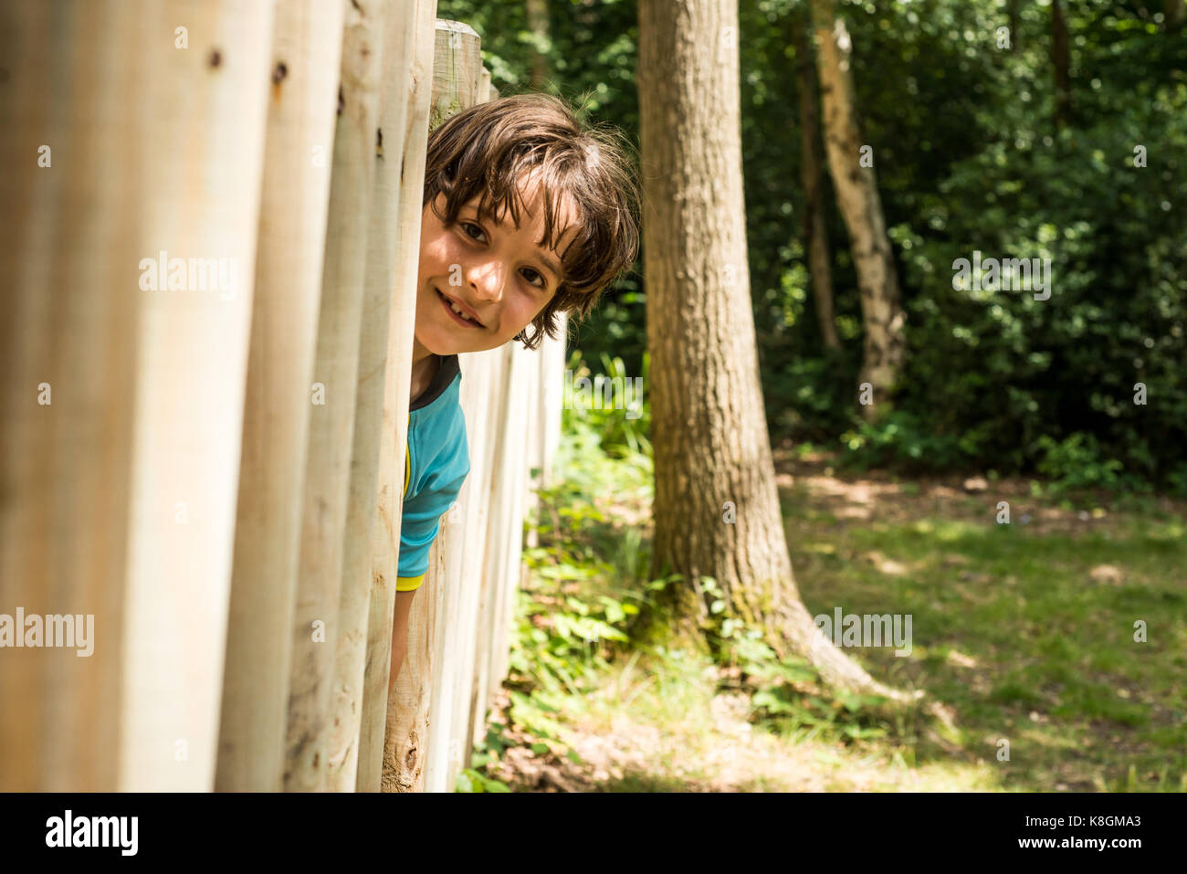 Young boy peering out from wooden fence Stock Photo