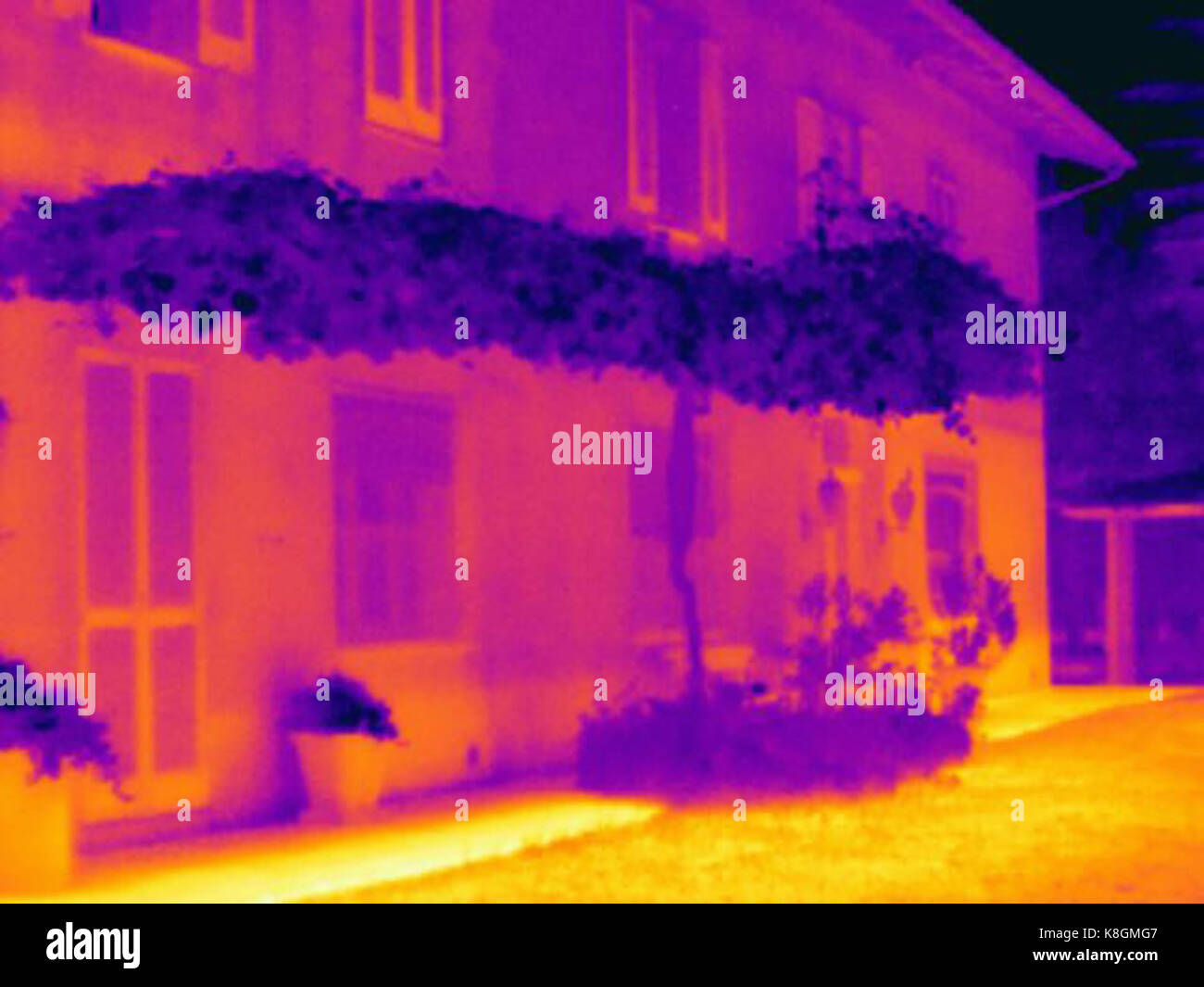 Thermal image of climbing plant on pergola on building exterior Stock Photo