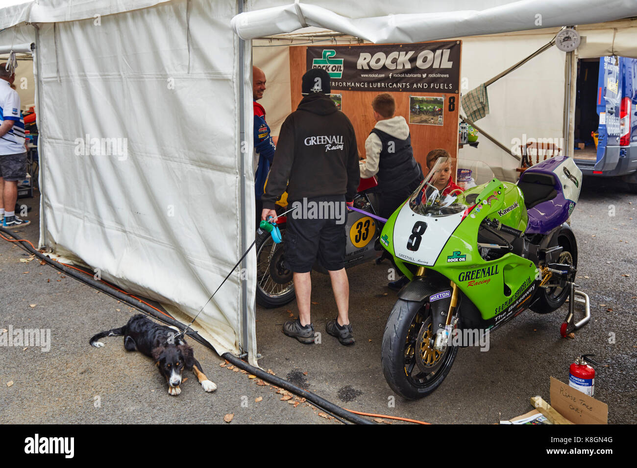 Greenall racing bike behind the scenes with reluctant dog Stock Photo