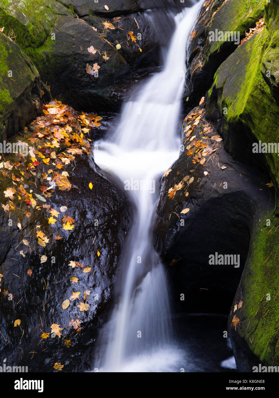 Image of Pewits Nest, a Wisconsin State Natural Area, in all of its