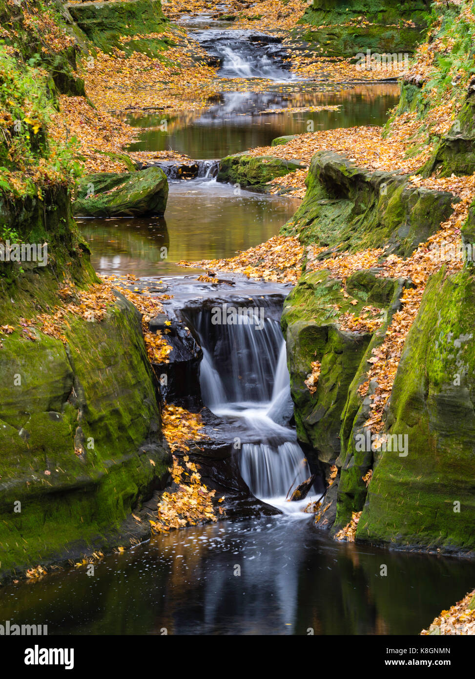 Image of Pewits Nest, a Wisconsin State Natural Area, in all of its