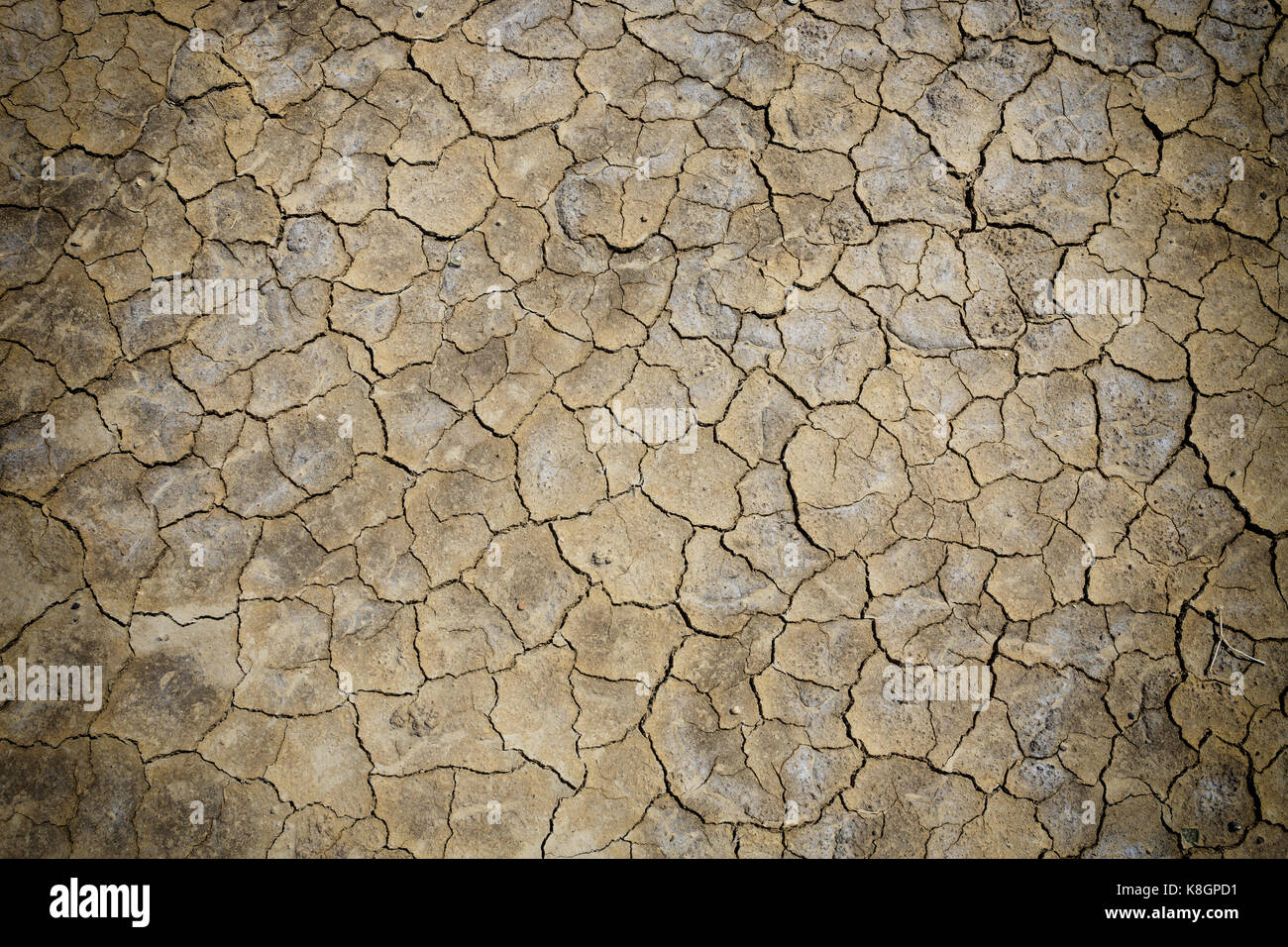 Cracked soil hi-res stock photography and images - Alamy