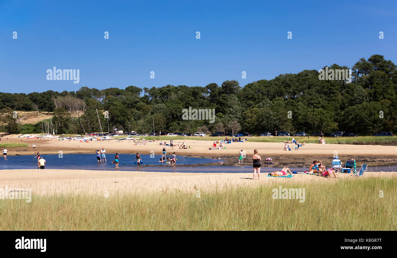 Beachgoers and clam diggers on Pleasant Bay beach in Orleans, Massachusetts, Cape Cod, USA Stock Photo