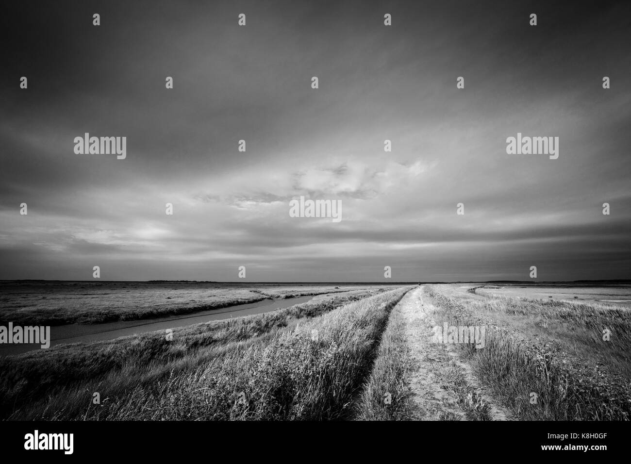 Cley Saltmarshes, North Norfolk, UK Stock Photo