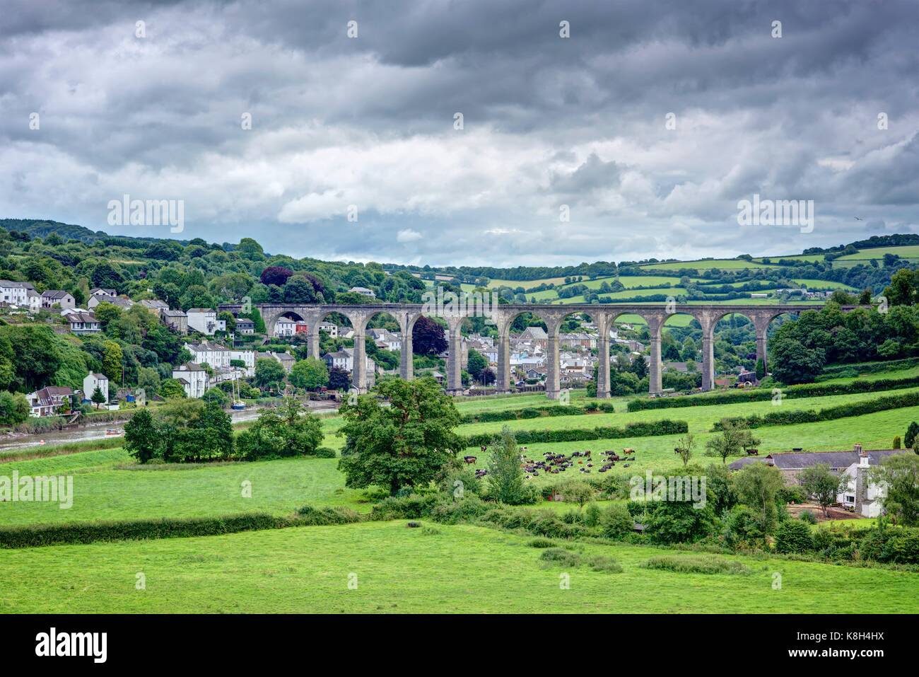 A far reaching landscape view of the great stone arched Calstock Viaduct crossing the Tamar Valley with Calstock Village and rural farmland as a foil. Stock Photo