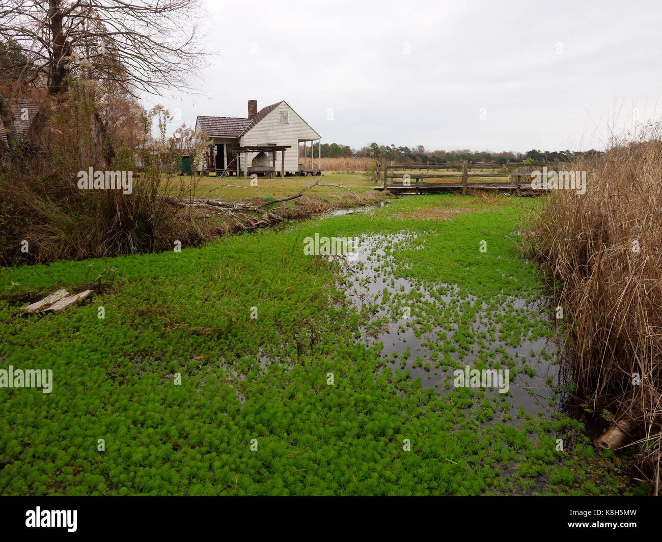 Baton Rouge, Louisiana, USA - 2016: Small creek and cabin in the background at LSU Rural Life Museum, an outdoor museum of Louisiana history. Stock Photo
