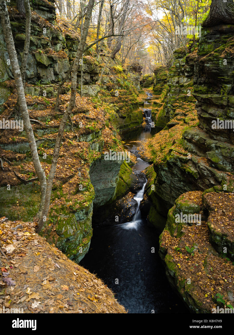 Image of Pewits Nest, a Wisconsin State Natural Area, in all of its