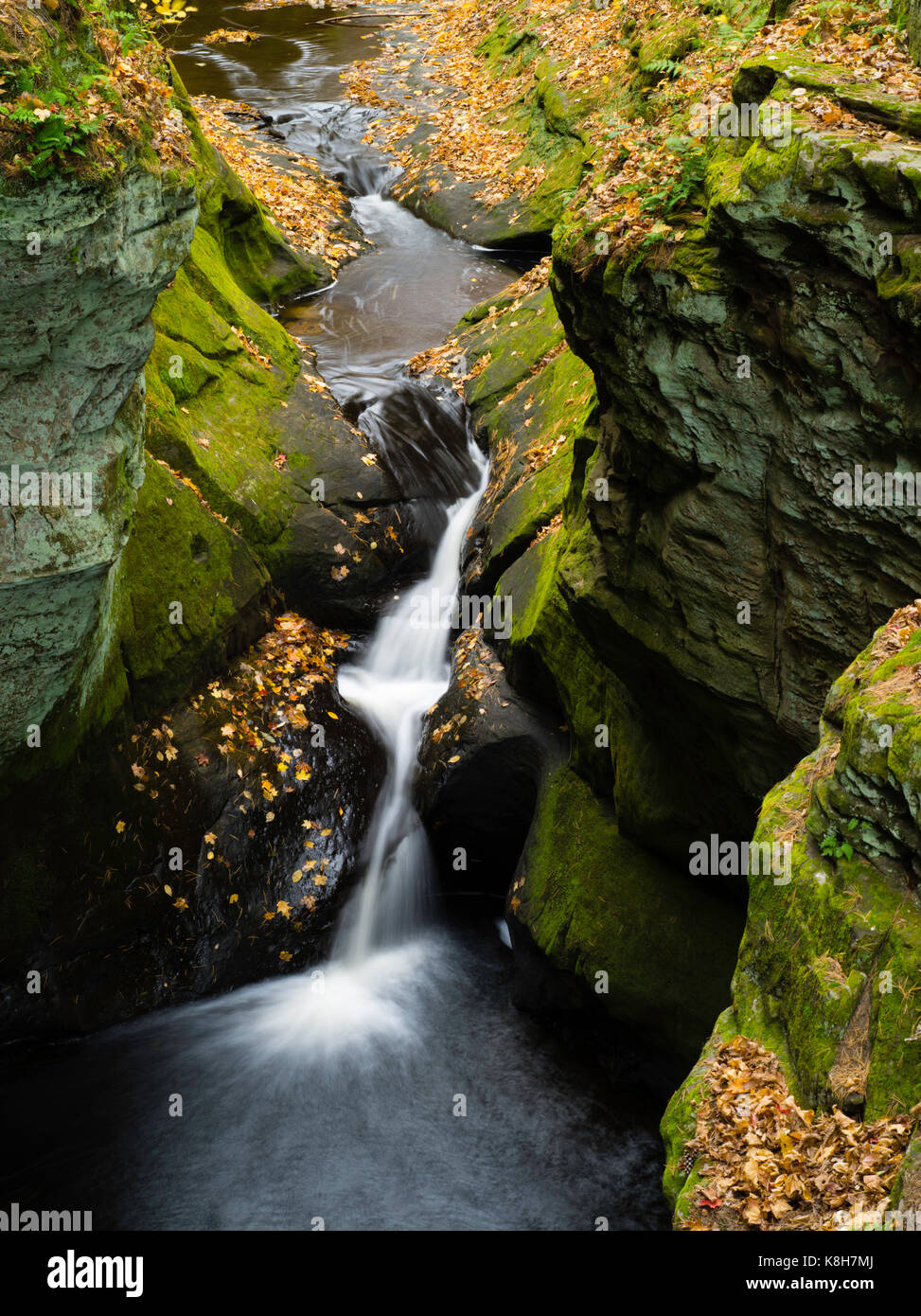 Image of Pewits Nest, a Wisconsin State Natural Area, in all of its