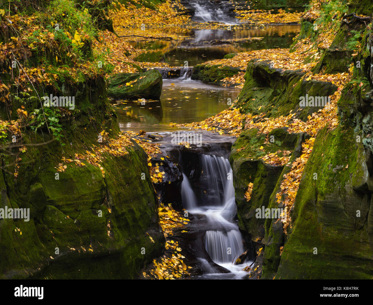 Image of Pewits Nest, a Wisconsin State Natural Area, in all of its