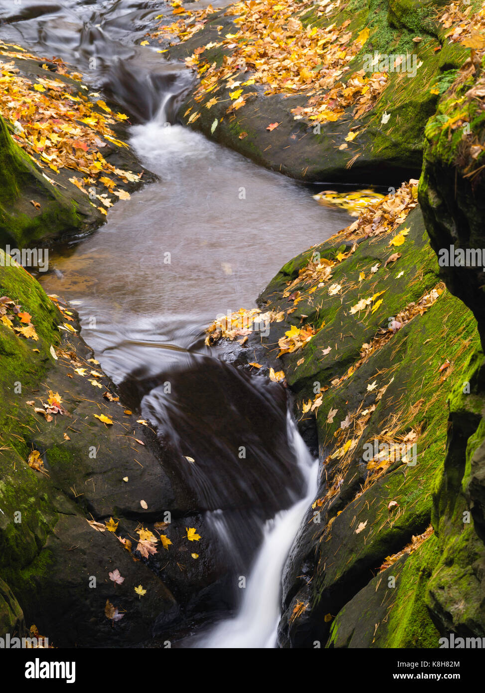 Image of Pewits Nest, a Wisconsin State Natural Area, in all of its