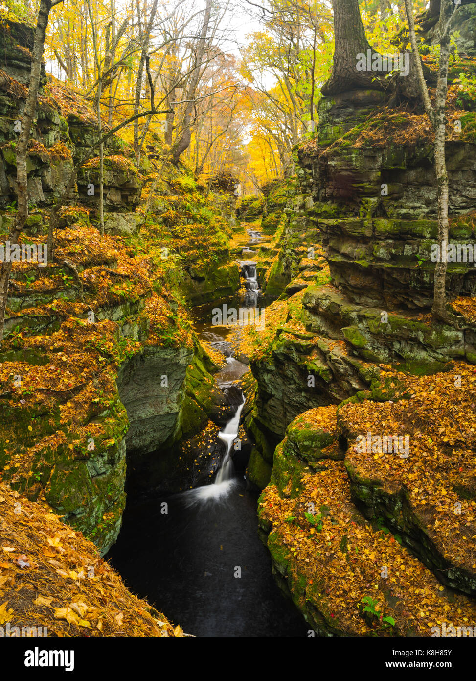 Image of Pewits Nest, a Wisconsin State Natural Area, in all of its