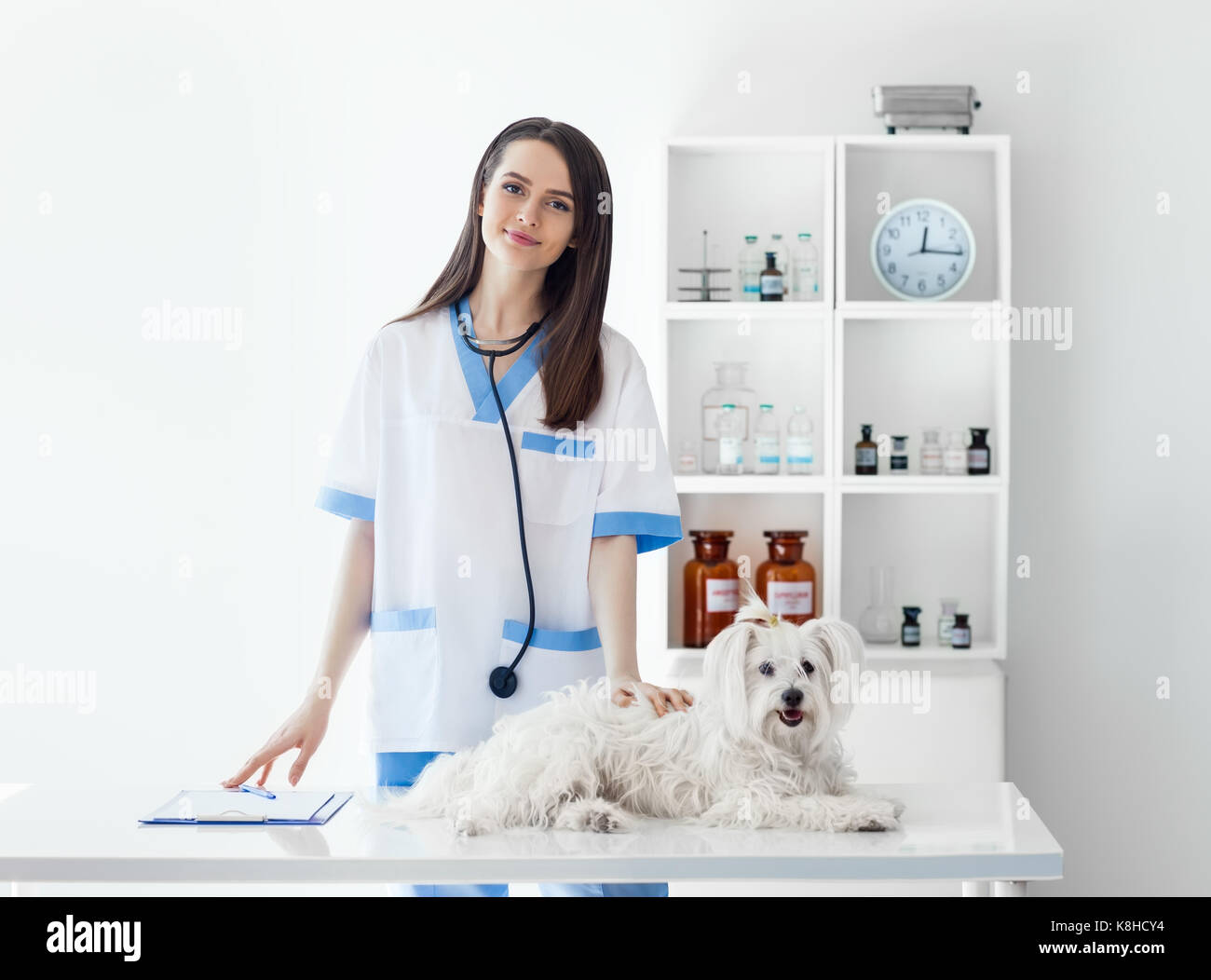 Beautiful smiling veterinarian doctor and cute white dog in vet clinic. Pet care Stock Photo