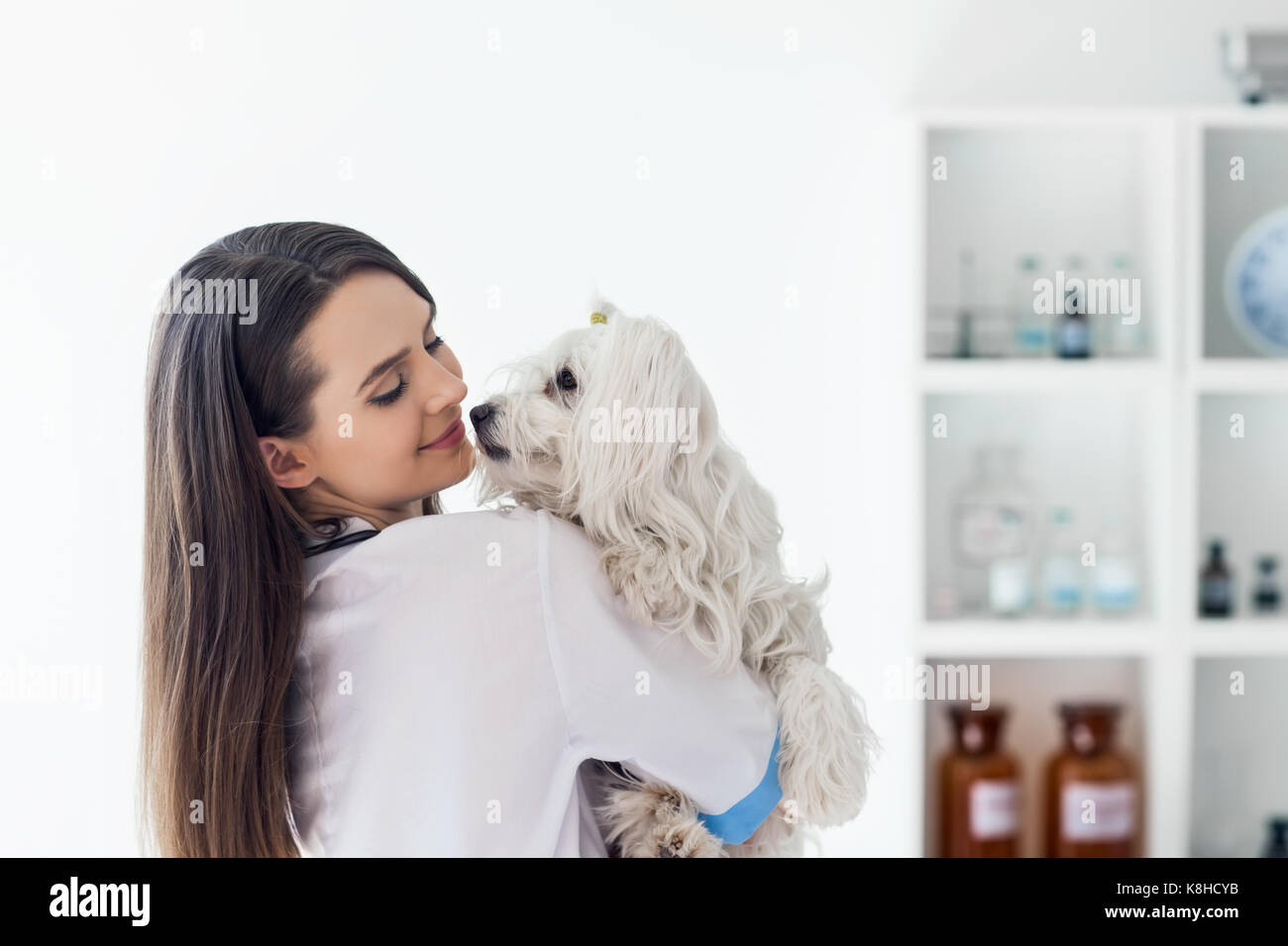 Beautiful smiling veterinarian doctor holding cute white dog. Pet care Stock Photo