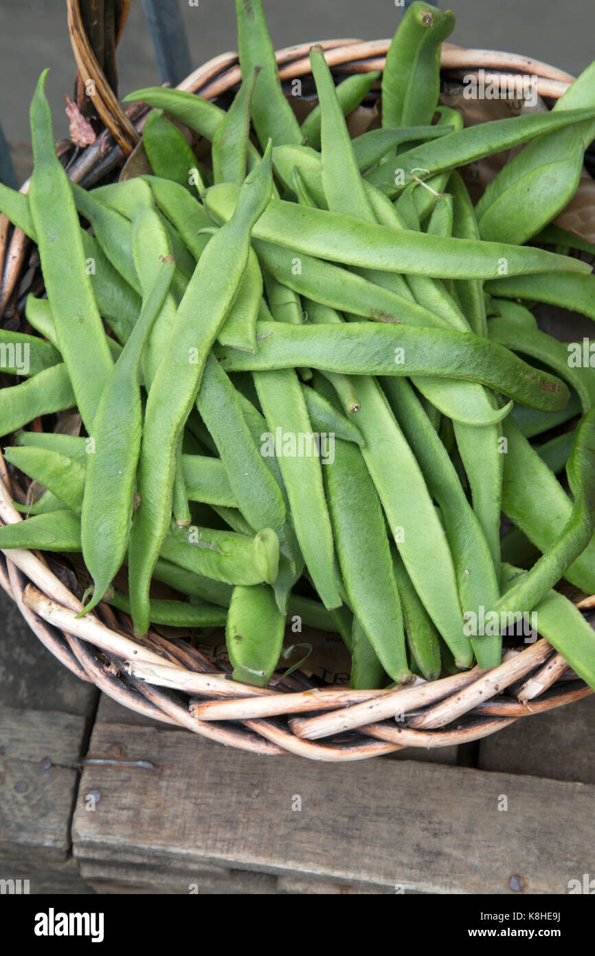 Green Beans for Sale on Market Stall Stock Photo Alamy