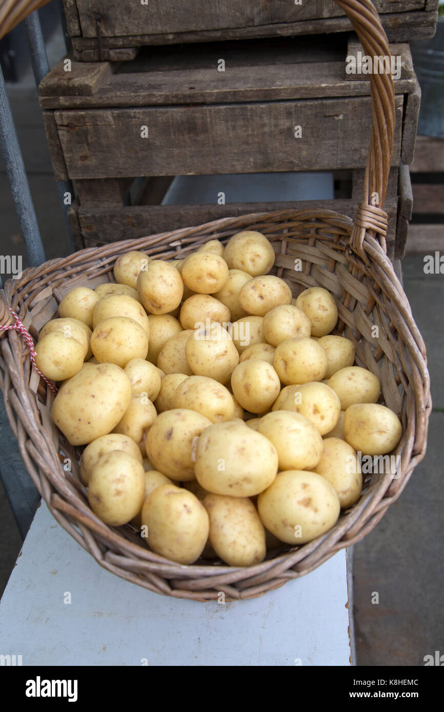 Potatoes for Sale on Market Stall Stock Photo Alamy