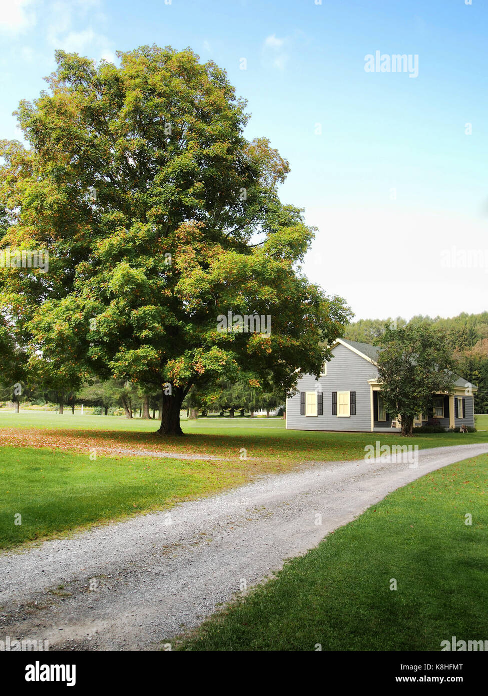Rural country countryside hi-res stock photography and images - Alamy
