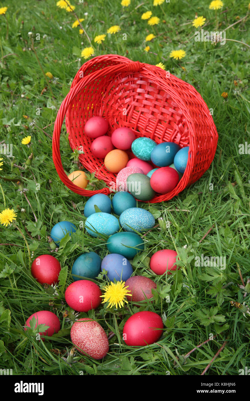 Colorful easter eggs in a basket. france. Stock Photo