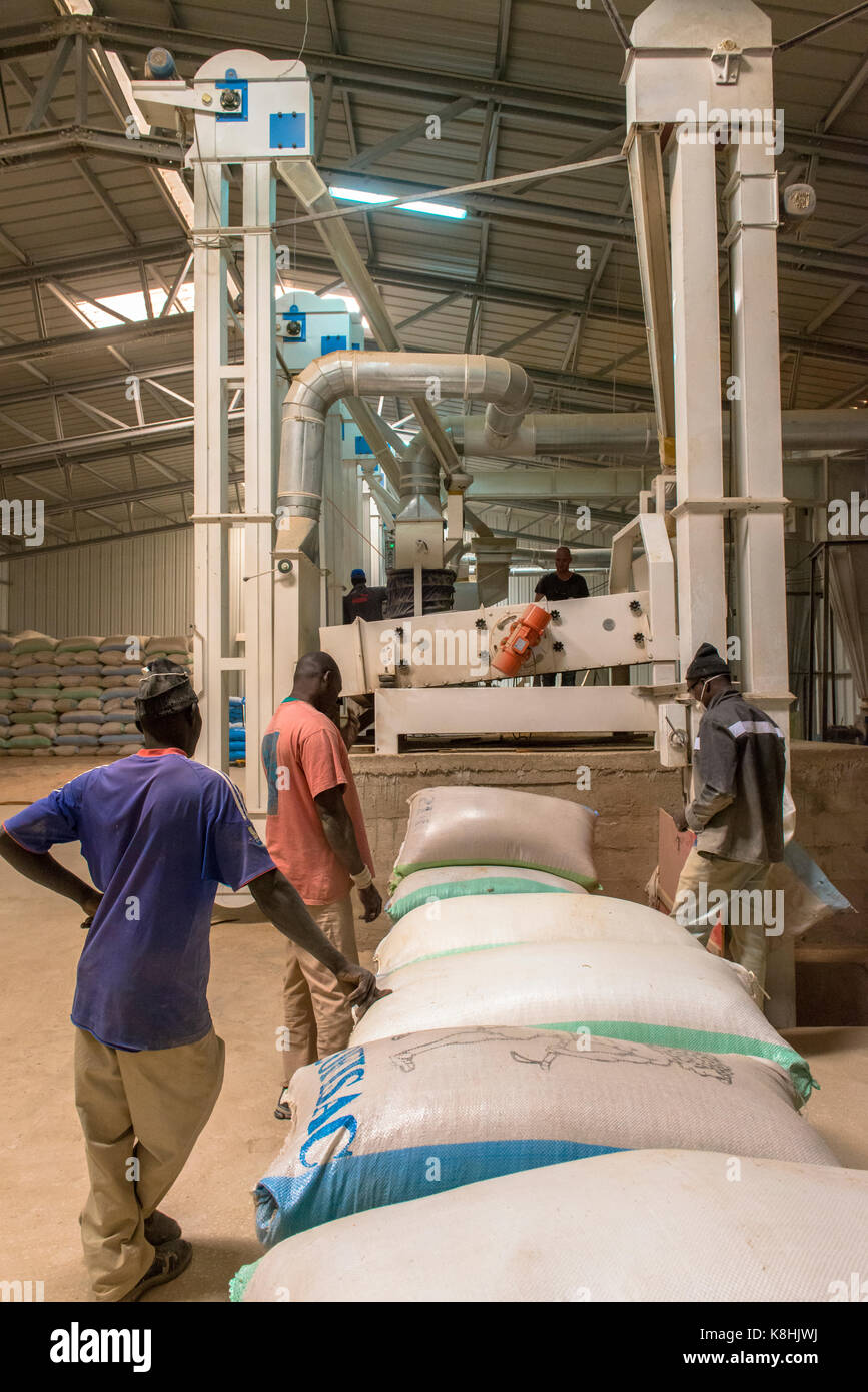Rice processing and packing factory. senegal. Stock Photo