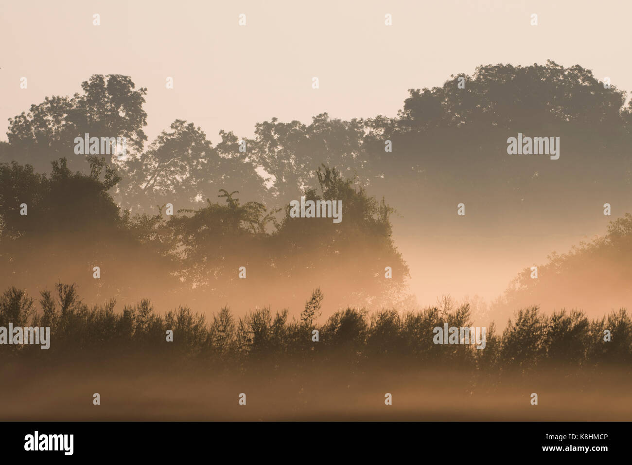 Fog at sunrise creates a dramatic effect. Stock Photo