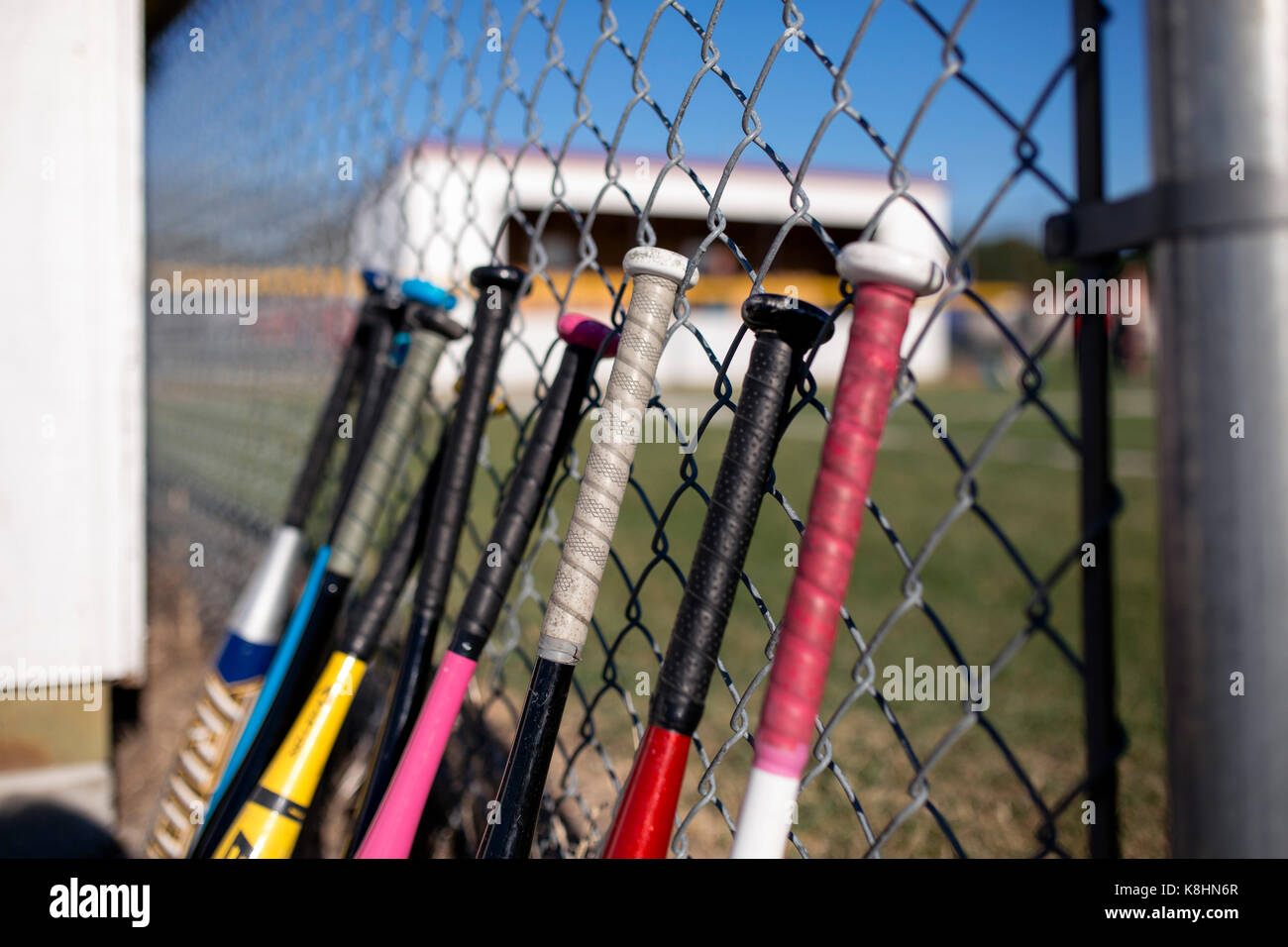 Baseball bats in dugout Stock Photo Alamy