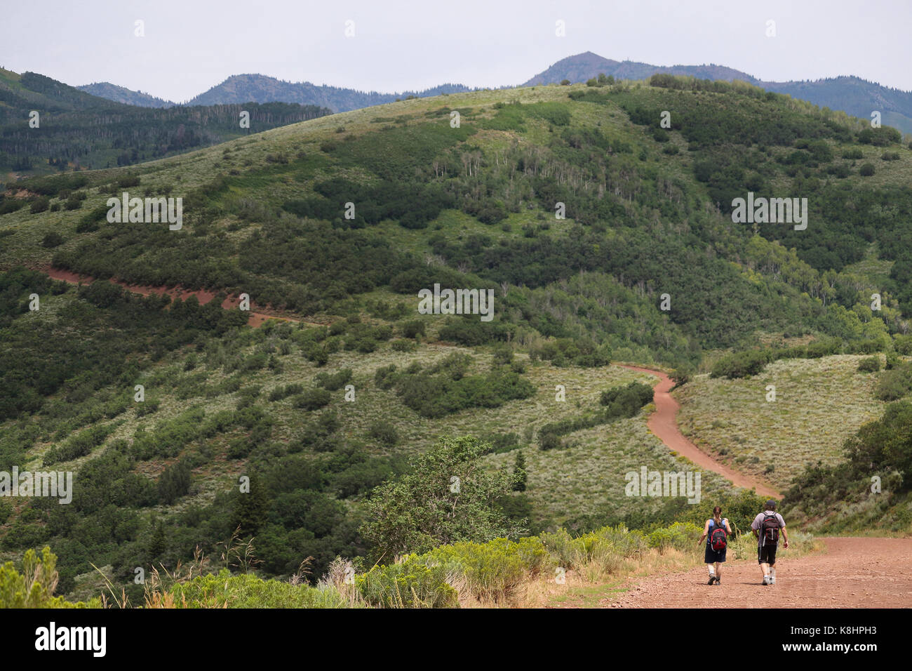 Rear view of friends hiking on field at Wasatch Mountain State Park Stock Photo