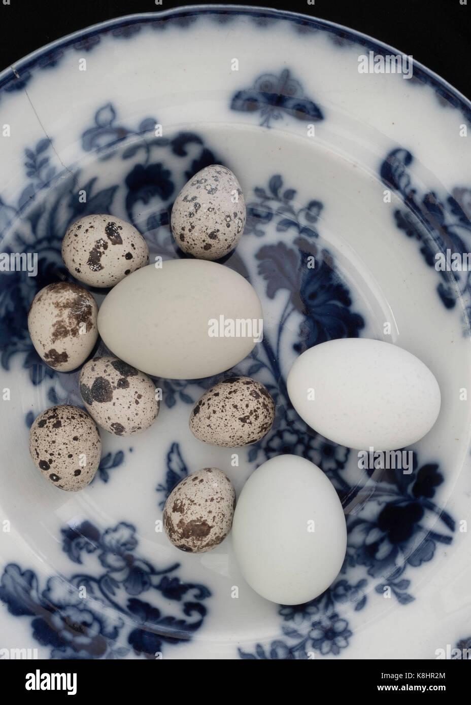 Cotswold Legbar & Quail Eggs in Vintage Blue White Bowl Stock Photo Alamy