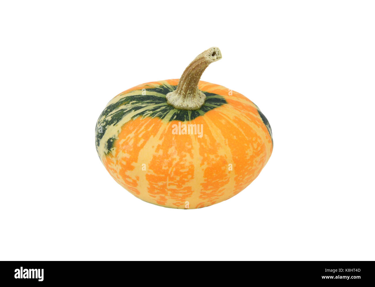 Small disc-shaped ornamental gourd with green and orange markings, isolated on a white background Stock Photo