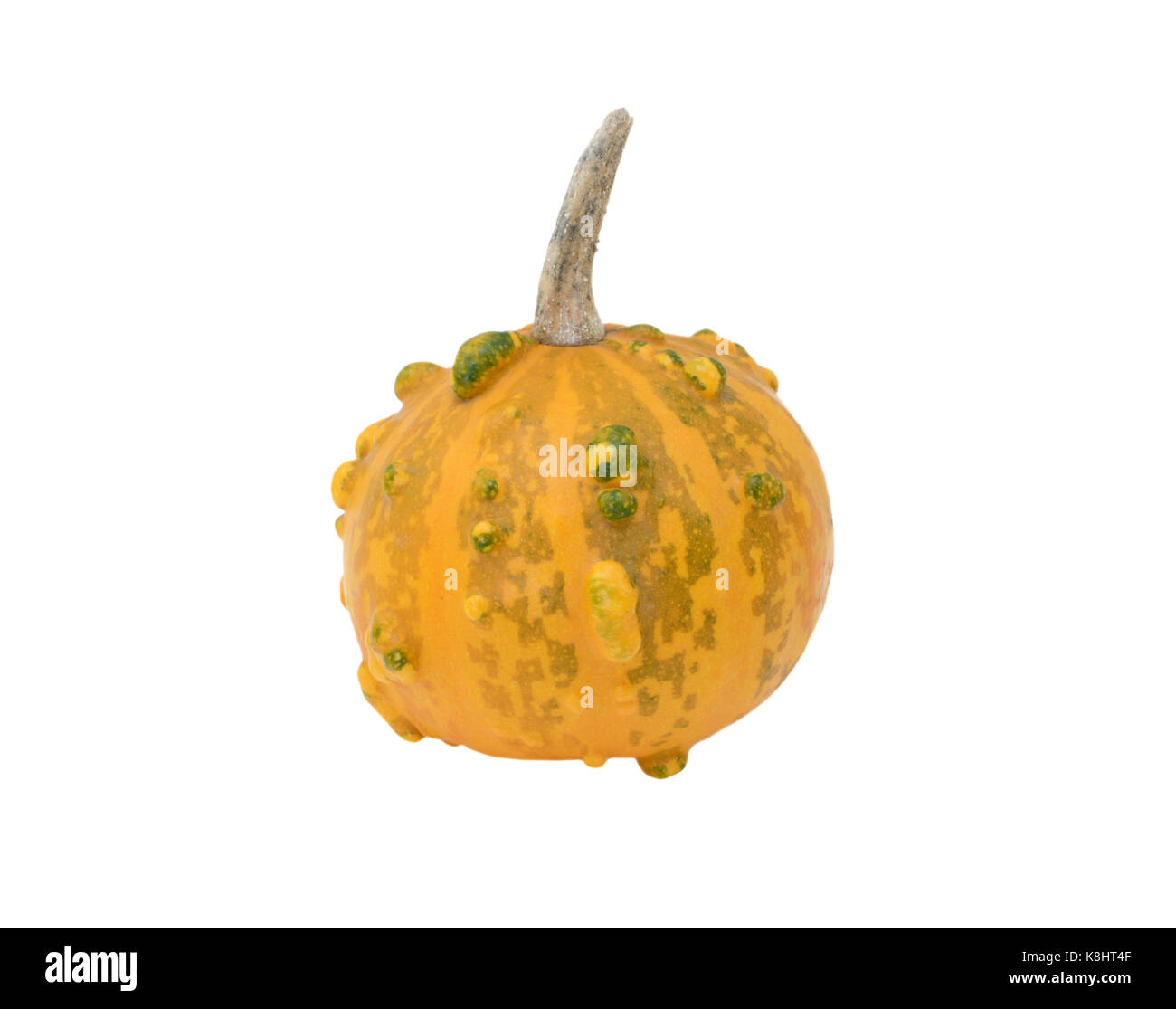 Small round warty ornamental gourd, orange with green markings, isolated on a white background Stock Photo