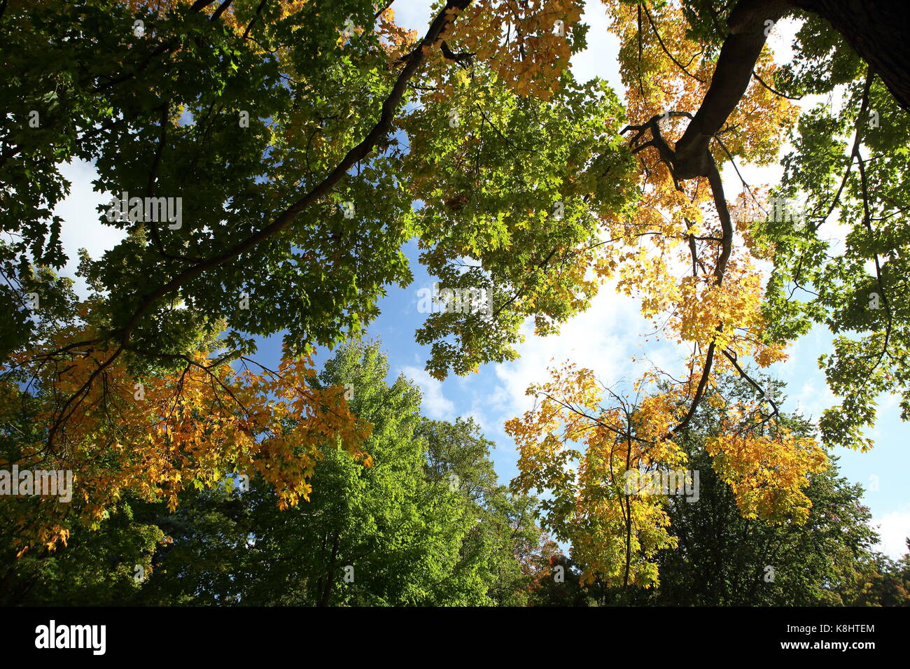 Patriot's Park (also known as Brookside Park), Sleepy Hollow, New York