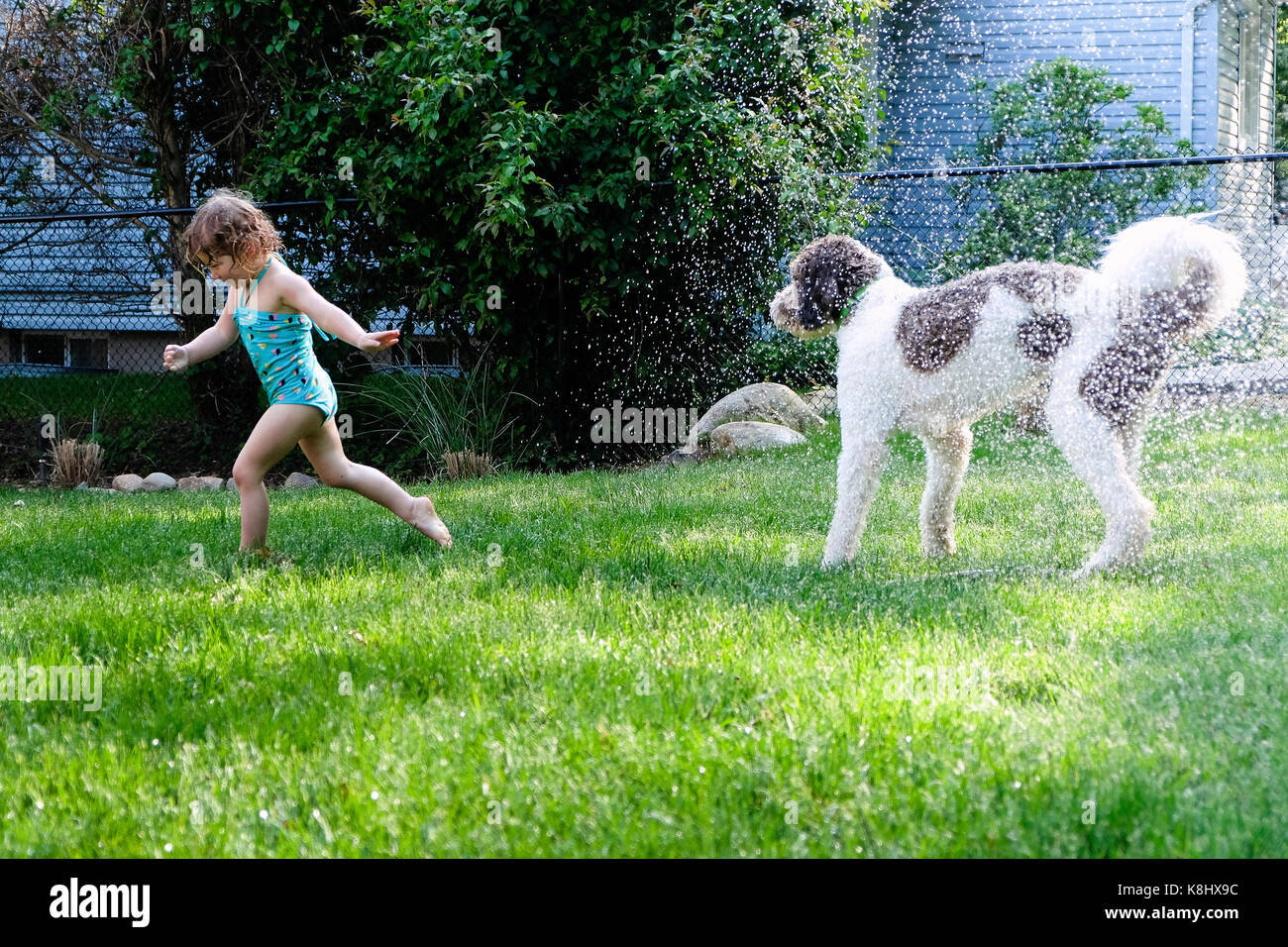 Girl playing with dog in yard Stock Photo - Alamy