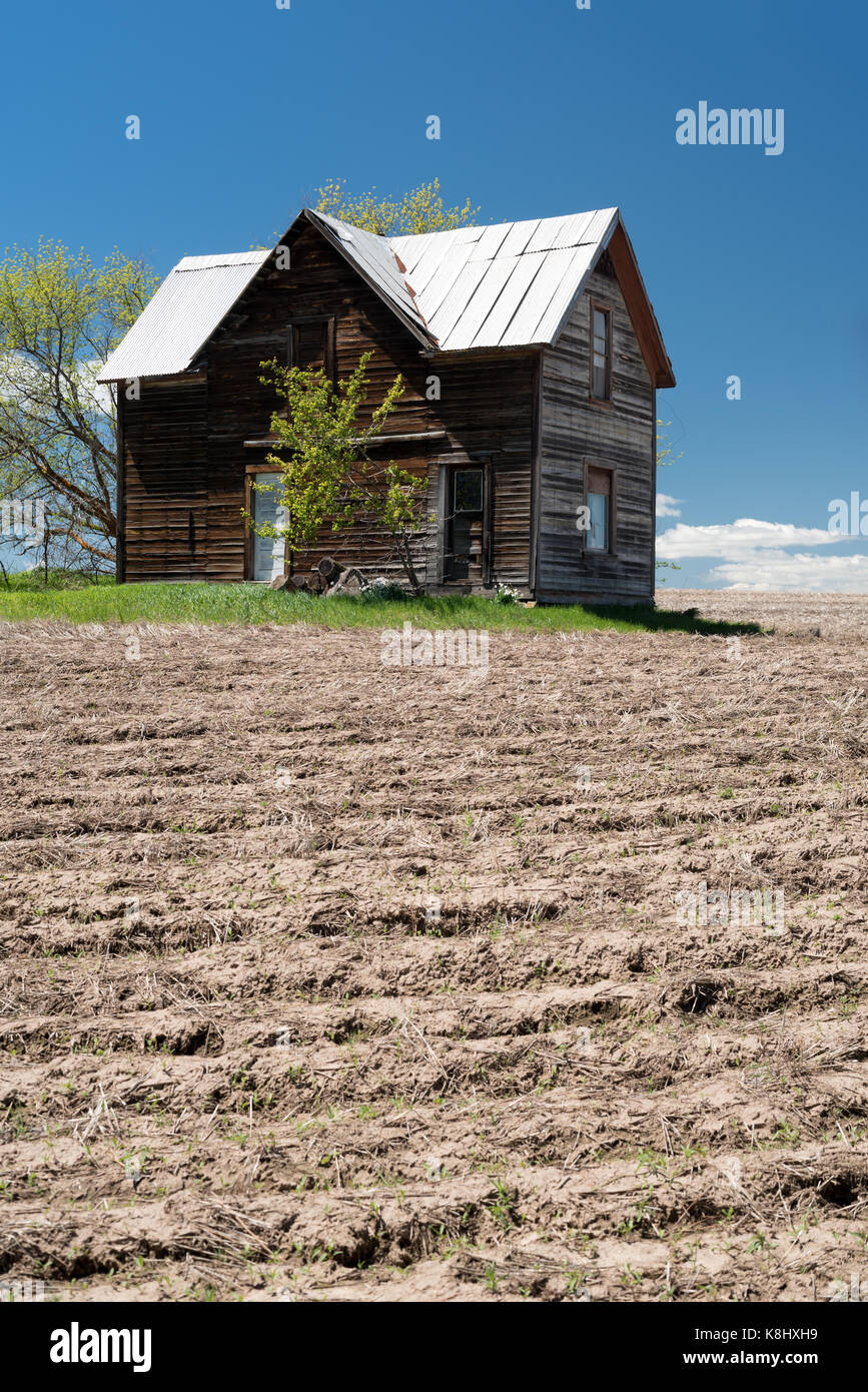 Old farmhouse surrounded by a disked field near Flora, Oregon Stock