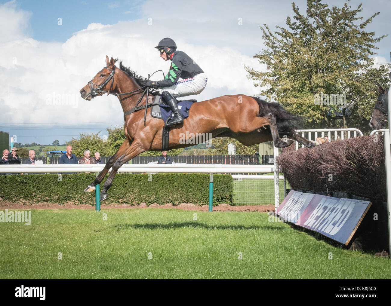 Racehorse jumps the chase fence at Uttoxeter Racecourse Stock Photo