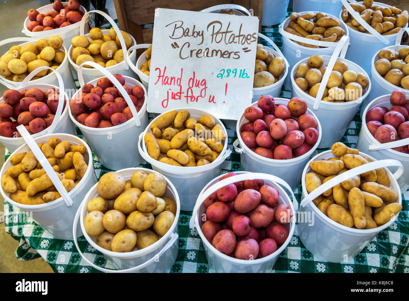 North Carolina,NC,Grandy,Greenhouse & Farm Market,fresh produce,potatoes,display sale RF NC170518183RF Stock Photo