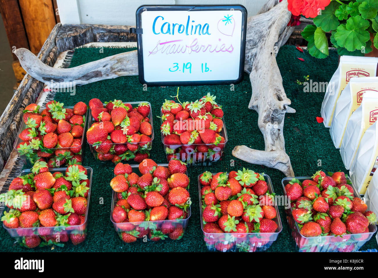 North Carolina,NC,Grandy,Greenhouse & Farm Market,fruit,local strawberries,display sale NC170518186 Stock Photo