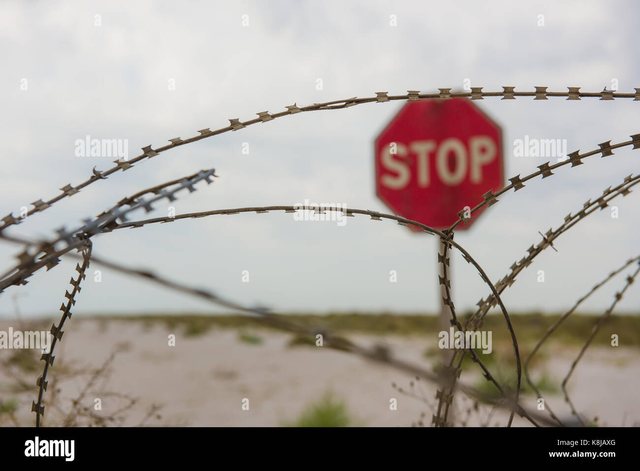 Стоп стоп колючая. Стоп рисунок. Стоп стоп колючая. Стоп стоп колючая. Стоп.