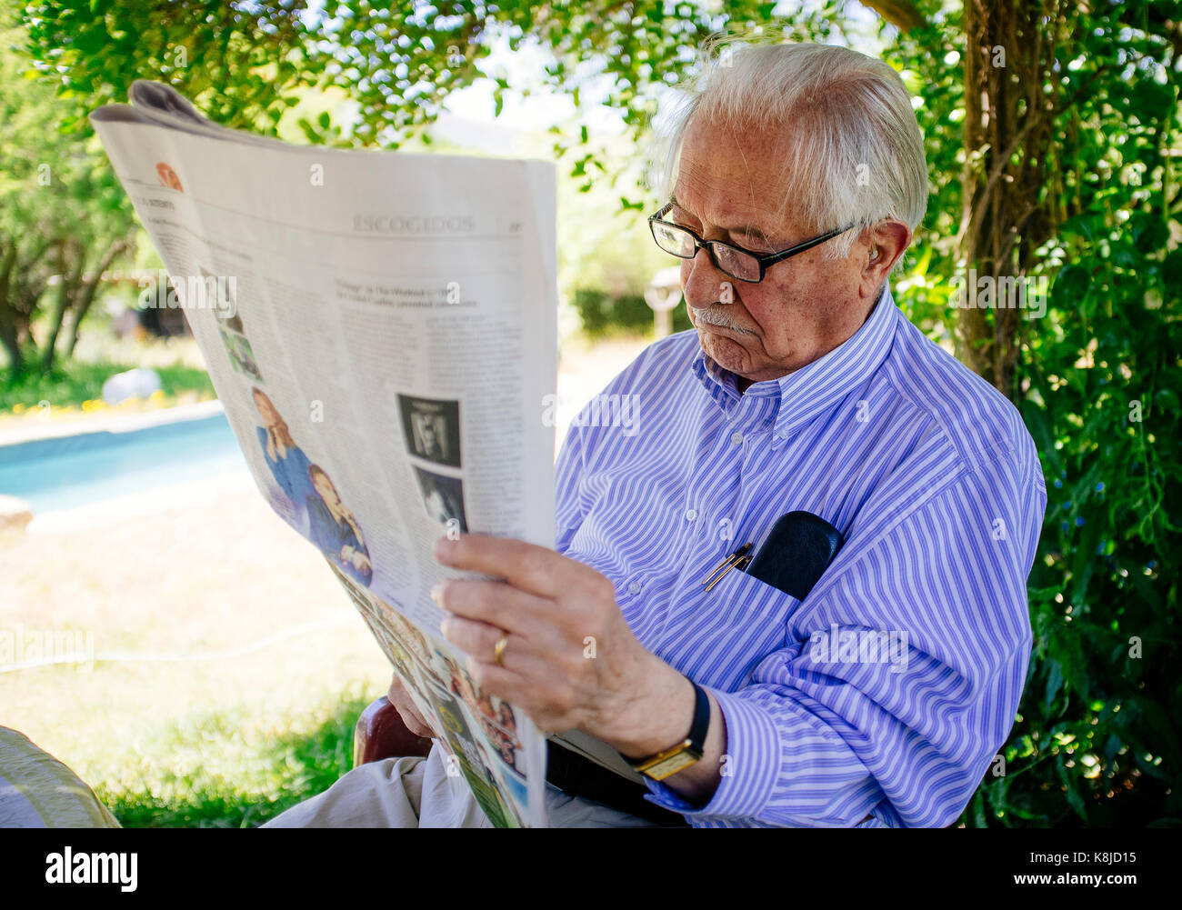 Senior adult man reading newspaper in the garden Stock Photo Alamy