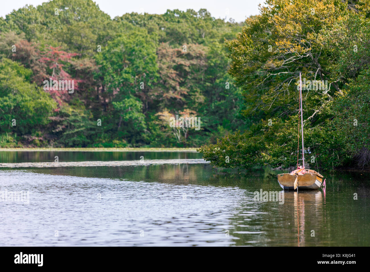 small sail boat in Big Fresh Pond in Southampton, ny Stock Photo